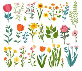 Colorful floral illustrations, various flowers and plants on white background, graphic design, poster design