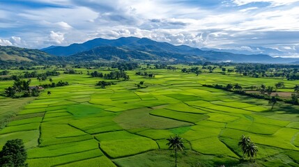 Obraz premium Stunning aerial view of vast green rice fields with majestic mountains in the background under a dramatic sky : Generative AI
