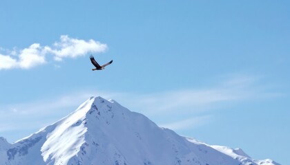Fototapeta premium Majestic Eagle Soaring Over Snow-Capped Mountain Peak Under Blue Sky
