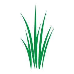 Vibrant green grass blades.