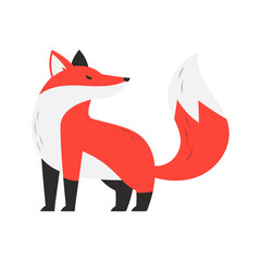 Fox animal vector illustration