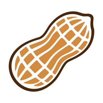 Roasted peanut in its shell.
