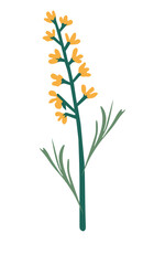 Elegant Yellow Flower