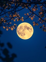 Naklejka premium Full Moon Glowing Above Tree Branches Against a Dark Blue Night Sky : Generative AI