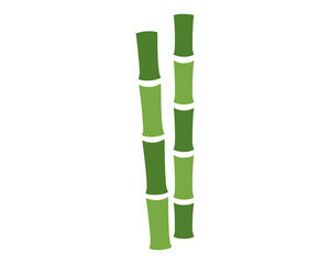 Fototapeta premium Two stalks of vibrant green bamboo.