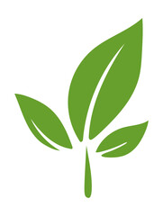 Three vibrant green leaves sprout.