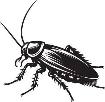 black cockroach insect isolated white background clip art preview