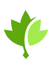 Abstract green leaf design.