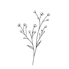 Black and white minimalist line art illustration featuring delicate flower stems and leaves on a plain white background