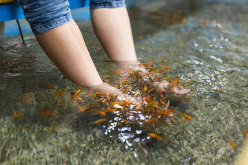 Outdoor Wellness Spa Fish Foot Bath for Natural Relaxation