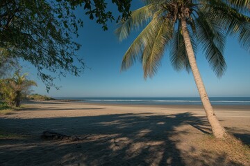 Fototapeta premium Serene tropical beach scene with palm trees, sand, and ocean.