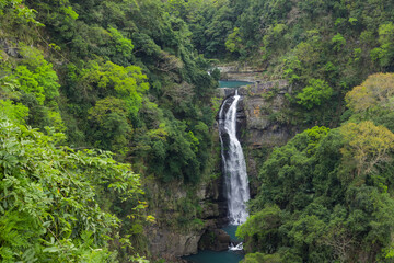 Nature waterfall in beautiful green forest landscape