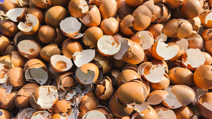 Discover eco-friendly uses for eggshells in composting and gardening. Enhance soil health with...