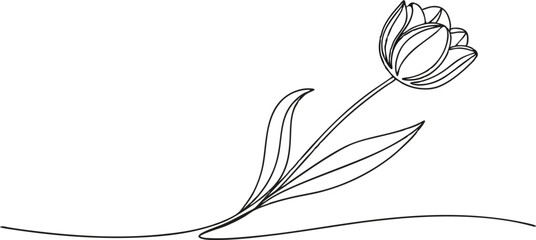 Mono Line Flower Drawing &ndash; Continuous Line Tulip Icon on White Background. Minimalist Black Line Art for Web Banners, Logos, and Decorative Designs. Simple, Elegant Floral Illustration with Modern 