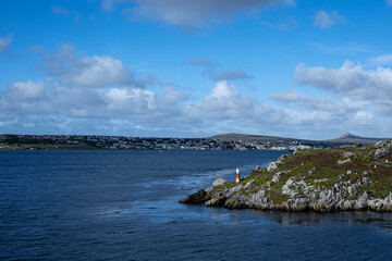 Port Stanley  falklands wild life photography