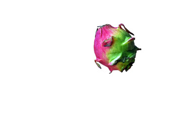 shape and texture of unpeeled dragon fruit