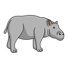 Hippopotamus