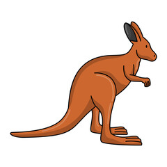 Kangaroo