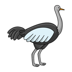 Ostrich