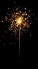 Night Sparkler Celebration