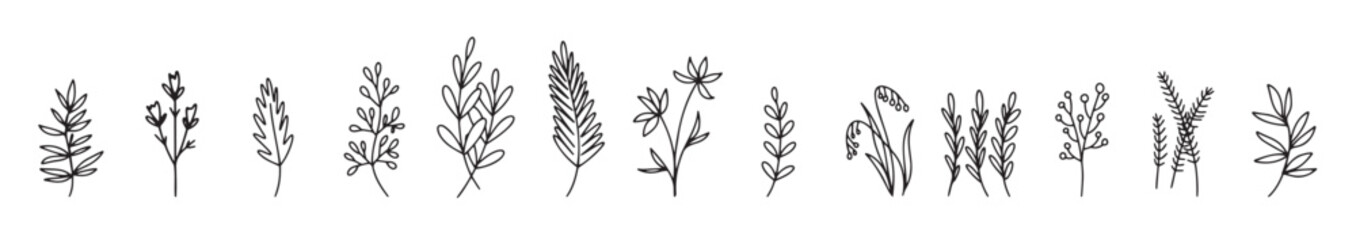 flower simple vector icon doodle outline plant drawings element silhouette