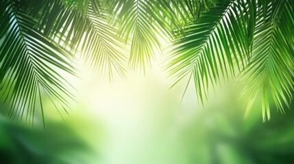 Naklejka premium Lush Green Palm Leaves Against a Bright, Blurred Background Tropical Paradise Nature Scene.