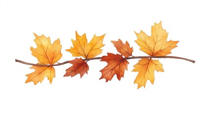 Fototapeta premium Vibrant autumn leaves in varying shades of orange and brown arranged on a white background