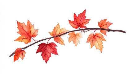 Fototapeta premium Vibrant autumn leaves in shades of red and orange arranged on a delicate branch, isolated