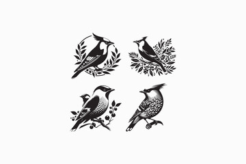 A Bohemian Waxwing bird silhouette black and white image made by adobe illustrator. eps