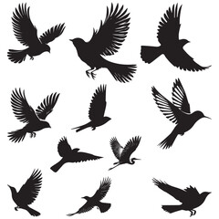 set of birds silhouettes