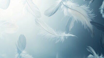 Obraz premium Soft and Ethereal Floating White Feathers on Pale Blue Background