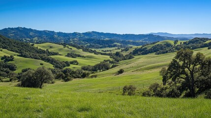 Rolling Green Hills of California on a Clear Sunny Day