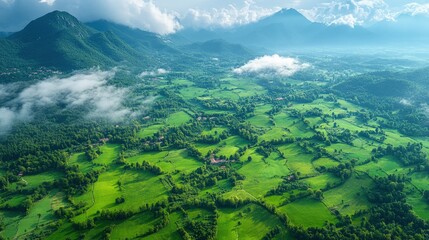 Aerial view of lush green fields and rolling hills under a cloudy sky, showcasing nature's beauty