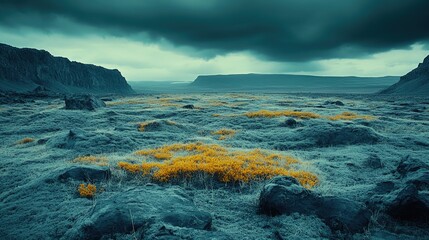 Breathtaking landscape showcasing vibrant orange flowers amidst a dramatic, moody sky in Iceland