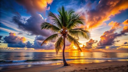 Serene Tropical Palm Tree at Sunset - Long Exposure Photography
