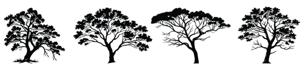 Fototapeta premium Set of Large Tree Silhouette Clipart – Big Collection of Isolated Tree Silhouettes, Vector Illustration