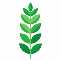 Obraz premium Home plant isolated flat vector on white background.