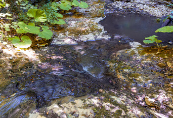 a sunny day, impossible routes, a walk along the canyon of the river with an overview of the bottom structure