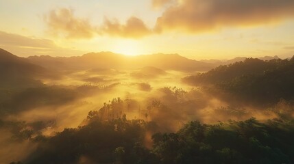 Obraz premium Sunrise in the Tropical Foggy Forest and Mountain: Fresh Nature Landscape with Serene Beauty