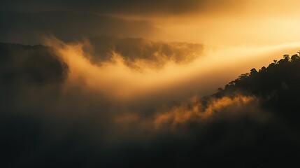 Fototapeta premium Sunrise in the Tropical Foggy Forest and Mountain: Fresh Nature Landscape with Serene Beauty