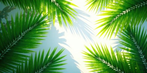 Lush Green Palm Fronds Frame a Bright, Sunlit Background, Creating a Vibrant and Tropical Aesthetic Perfect for Summer Designs or Relaxation-Themed Projects