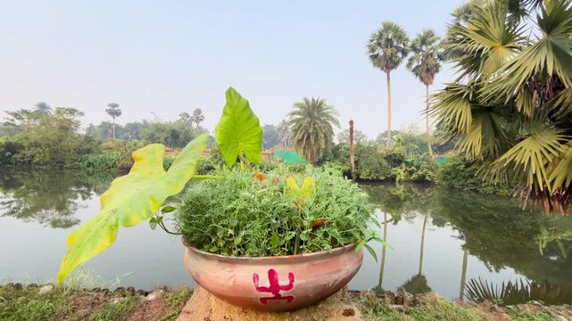 It is called Itu Puja. Farmers of West Bengal perform this puja for prosperity in agriculture.Basically this puja is done in the field. Besides women of the house also perform this puja in a small way