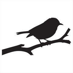 Perfect Bird Shadow Illustration on a Tree Branch for Creative Visuals and Backgrounds
