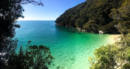 Turquoise waters through the trees