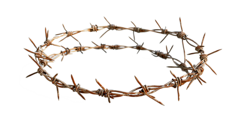 Razor Wire Silhouettes and Barbed Wire Metallic Border Elements on White Background PNG.AI GENERATED