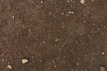 High-Resolution Close-Up of Earthy Ground Texture
