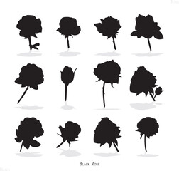 Black rose flower icon.