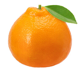 Orange fruit (Sumo Orange) with leaves isolated, transparent PNG, PNG format, cut out