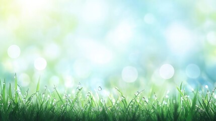 Obraz premium Fresh Spring Morning Dew on Grass Blades with Soft Bokeh Background