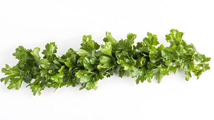 Obraz premium A fresh bunch of parsley, isolated on a white background